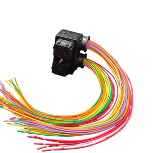 Chicote 60 Vias Femea Reparo Módulo CM 2150 Lado Direito ( euro 5) Ford Cargo