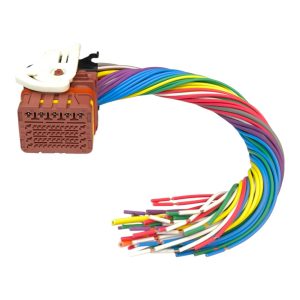 CHICOTE 53 VIAS FEMEA REPARO MODULO CENTRAL RANGER / TRANSIT ( MARROM )